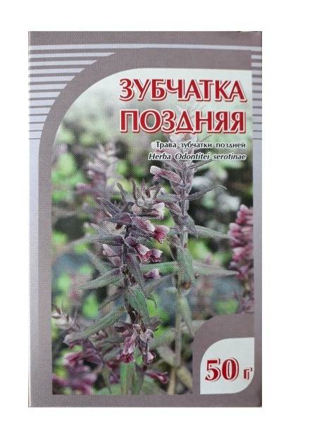 Lateflowering Toothwort Herb (50g) - Horst Brand