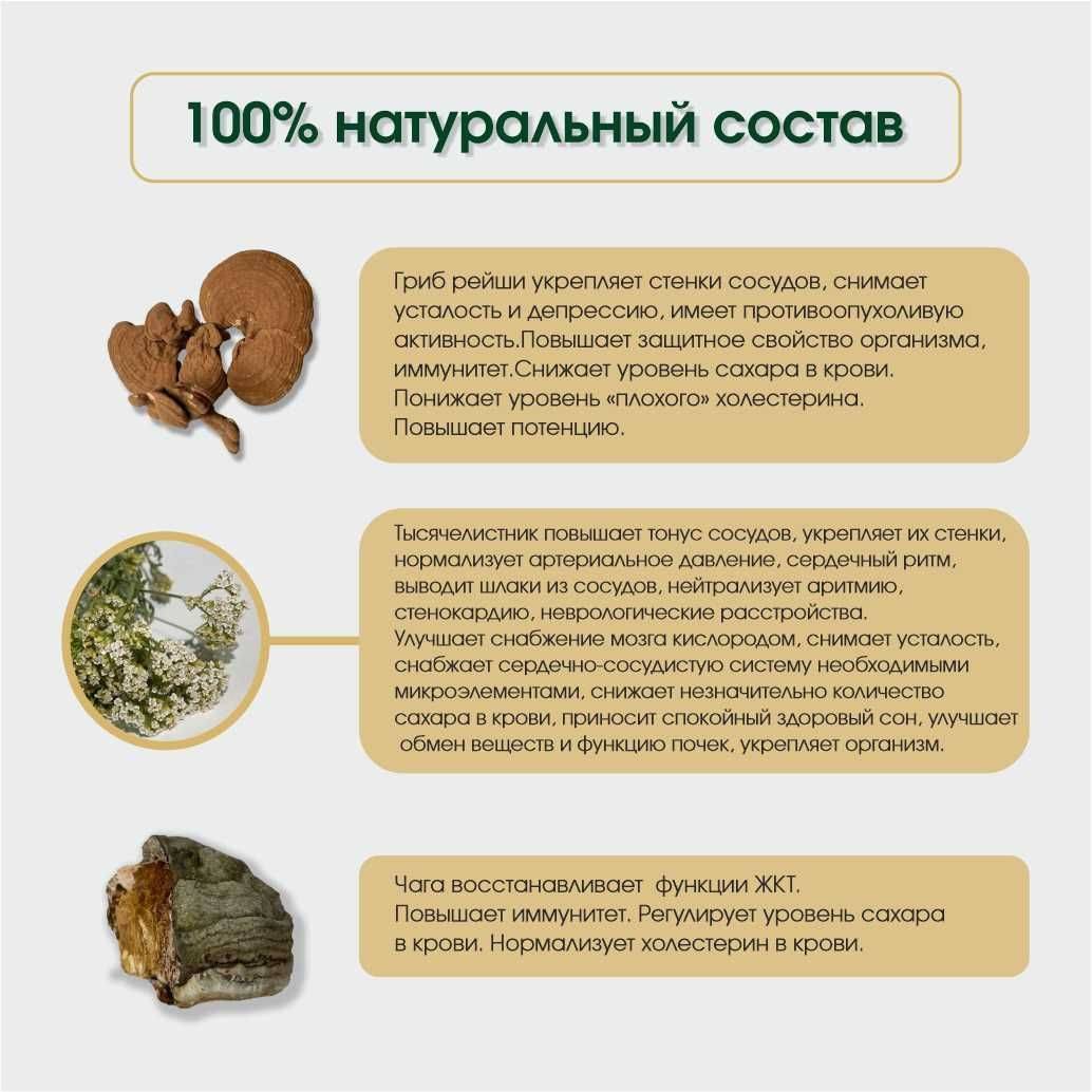 Travy Rossii Herbal Blend Leafy Altai Vascular Key to Heart and Vessel Health Chaga 200 g #4