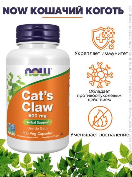NOW Cat's Claw 562.73 mg 100 Capsules