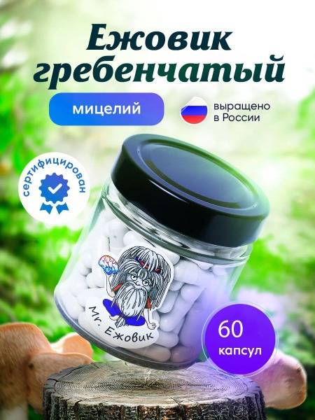 Lion's Mane Mushroom Capsules (60 Count)