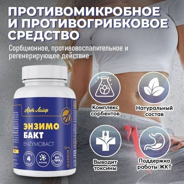 Enzyme Support for Gut Health: Biotic & Hitozan for Dysbiosis & Candidiasis (60 Capsules)