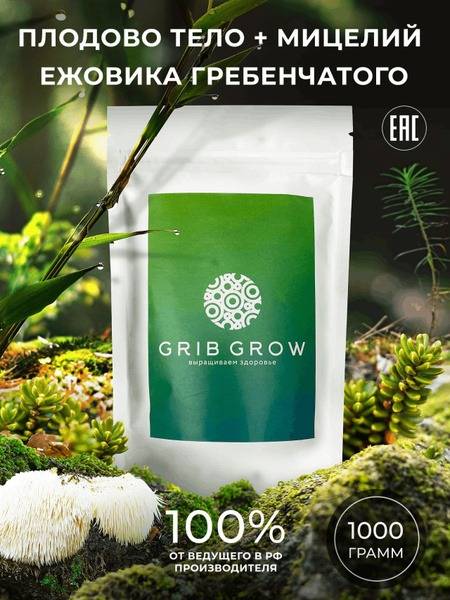 Lion's Mane Mushroom Mycelium & Fruiting Body - 1kg