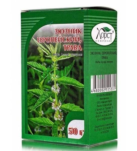 European Bugleweed Herb (50g) - Horst
