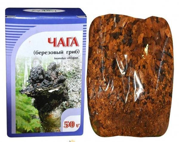 Chaga Mushroom (Birch Fungus) Herbal Supplement - 50g