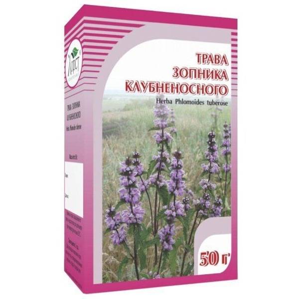 Horst Phlomis tuberosa Herb, 50g