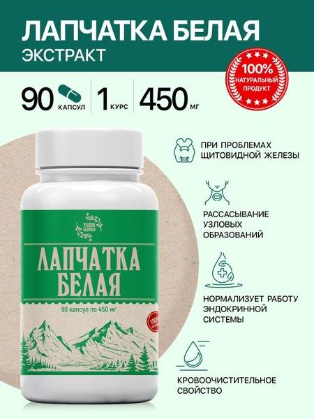 White Potentilla Extract for Thyroid Health - 90 Capsules