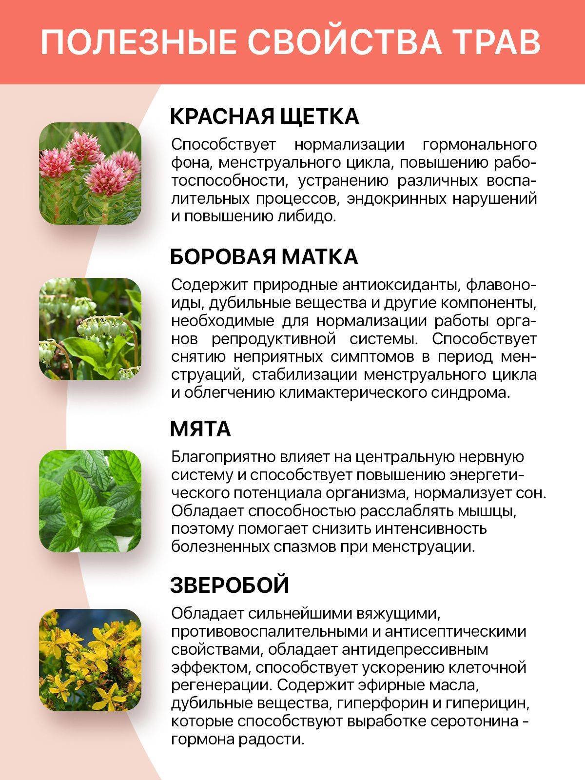 Ugolok Zdorov'ia Gynecological Complex with Red Brush and Borovaya Matka, 90 Capsules #2