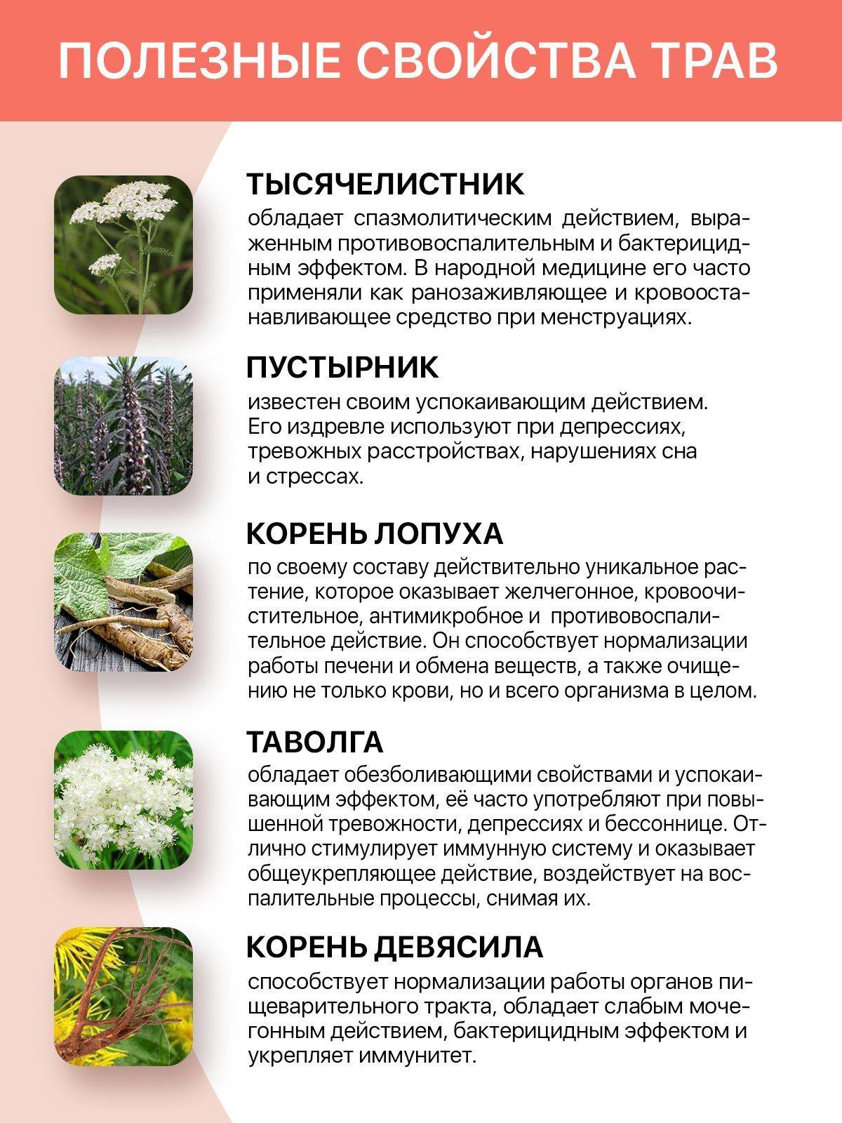 Ugolok Zdorov'ia Gynecological Complex with Red Brush and Borovaya Matka, 90 Capsules #3