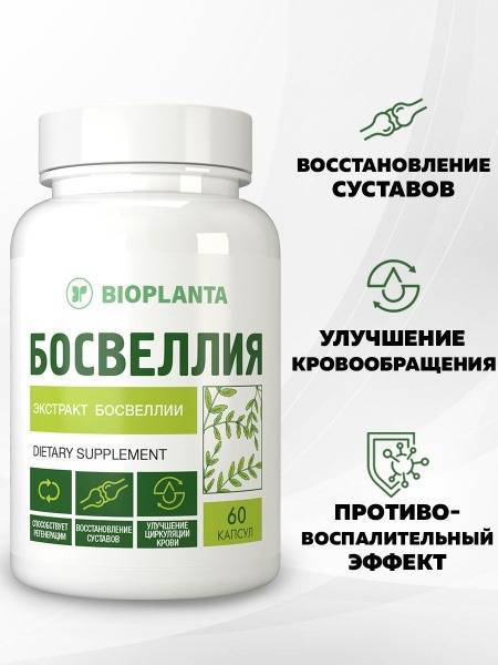BIOPLANTA Boswellia + Curcumin Chondroprotective for Joints and Ligaments 60 Capsules