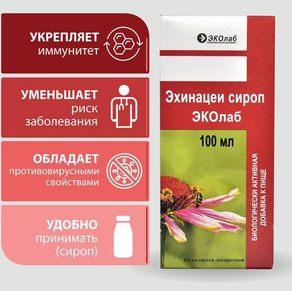 Echinacea Syrup for Immunity - Ecolab (100ml)