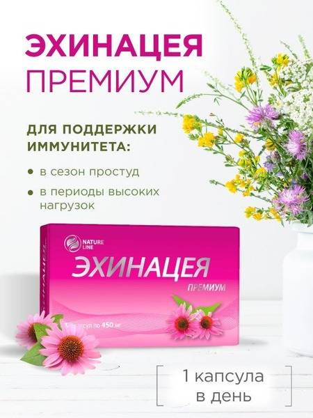 Echinacea Immune Support: 10mg Hydroxycinnamic Acids, 30 Capsules