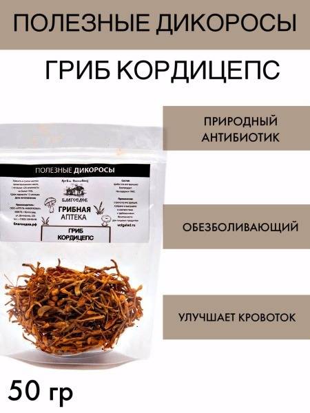 Cordyceps Militaris Extract - 50g