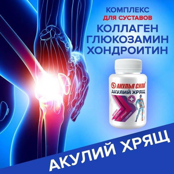 Shark Power Joint Support: Glucosamine, Chondroitin, Collagen, & Shark Cartilage - 60 Capsules