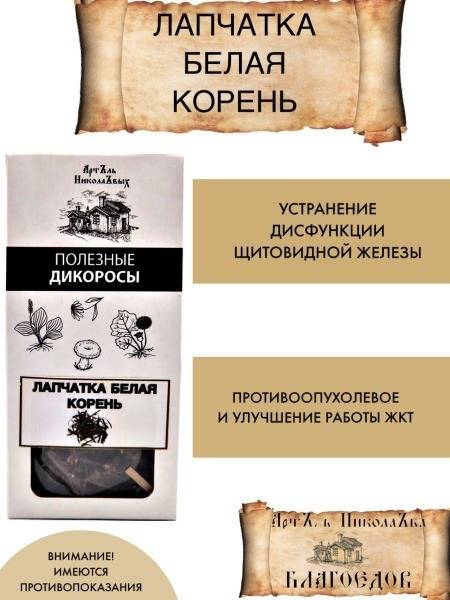 White Potentilla Root: Thyroid Support & Anti-Cancer Properties, 50g