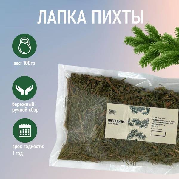 Fir Needle Tea & Infusion - 100g of Siberian Fir