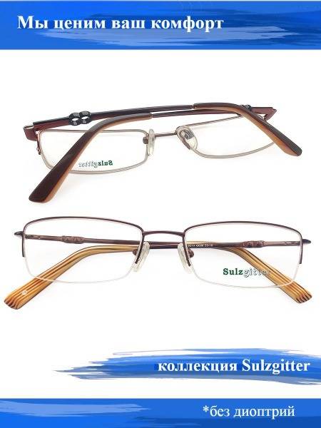 Sulzgitter Eyeglass Frame Unisex Adult Semi-Rimless Classic 53 mm Lens Width 135 mm Total Width