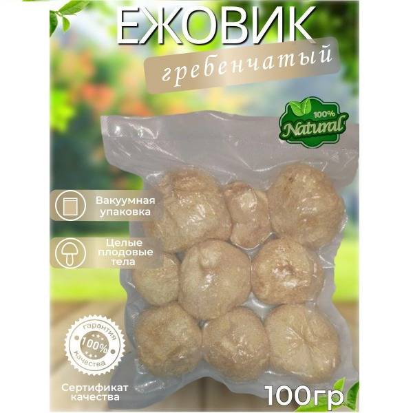 Lion's Mane Mushroom (Hericium Erinaceus) - 100g Dried Fruiting Body