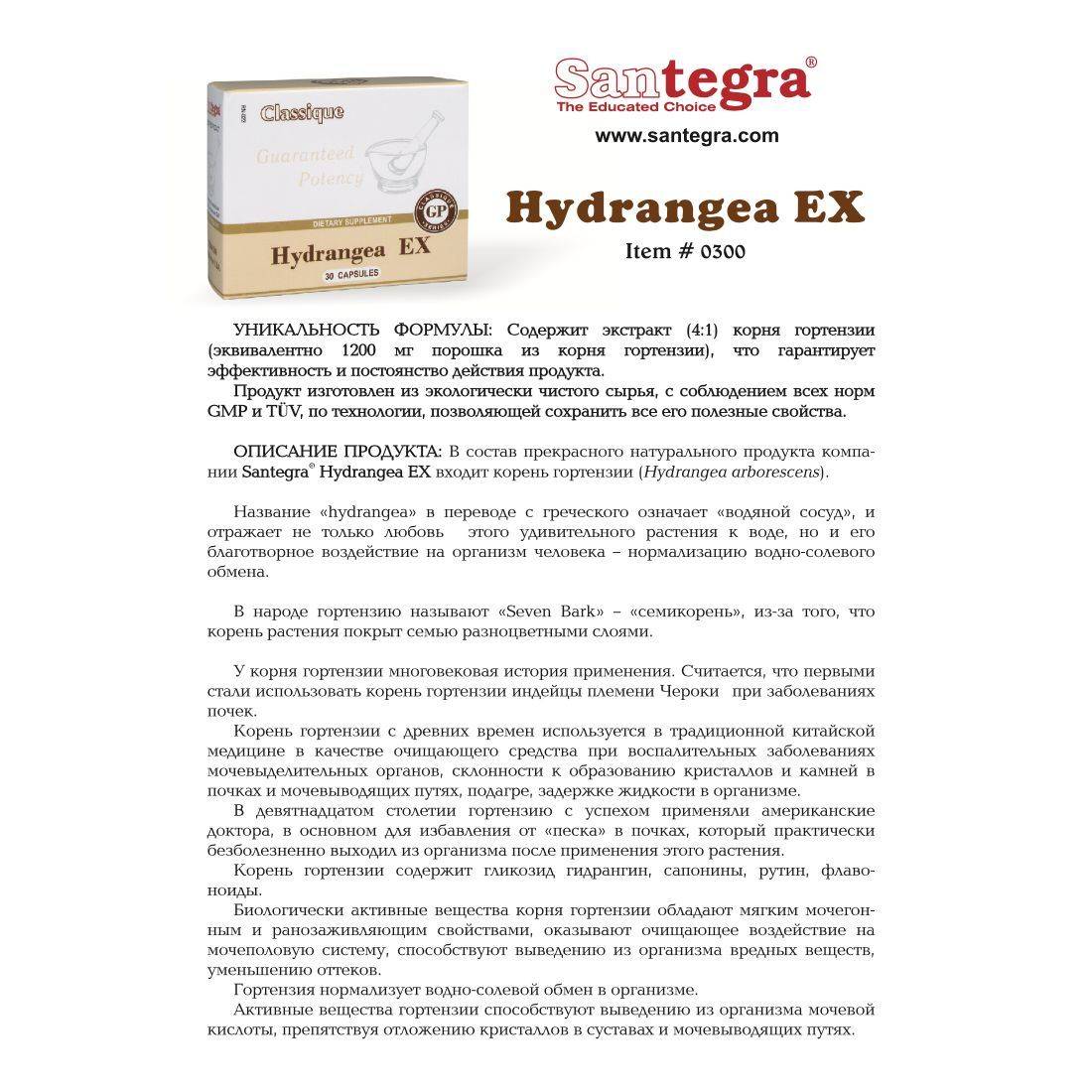 Santegra Hydrangea EX 300 mg Extract, Urological Support, 30 Capsules #2