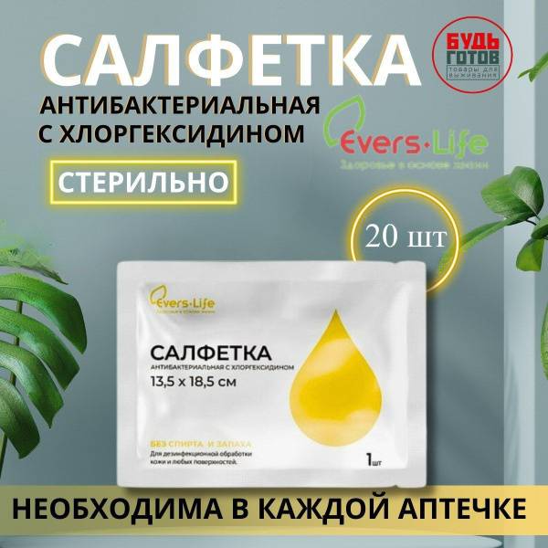 Evers-Life Antiseptic Wipes 13.5 x 18.5 cm