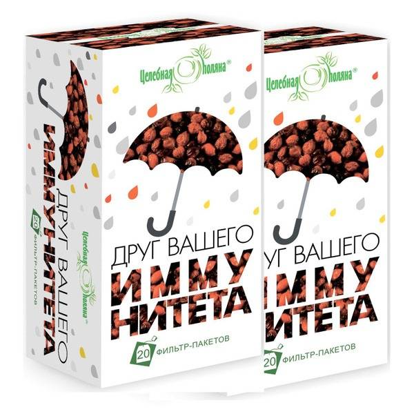 Tselebnaya Polyana Herbal Blend Immune Support 40 Filter Bags (2 Packs)
