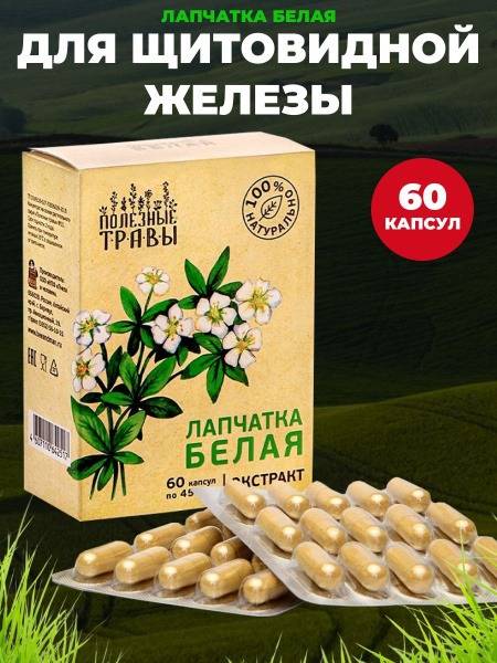 Bee and Man White Potentilla Root Extract, 60 Capsules x 450mg