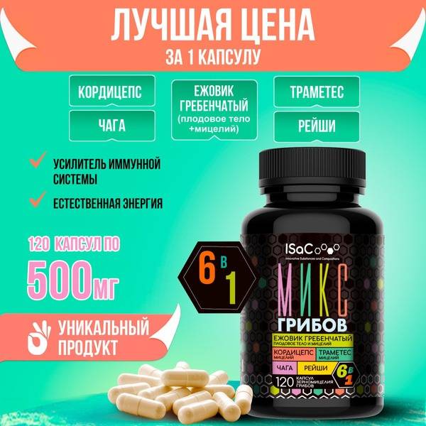 ISaC Echinops Mushroom Blend, 90 Capsules of 500 mg