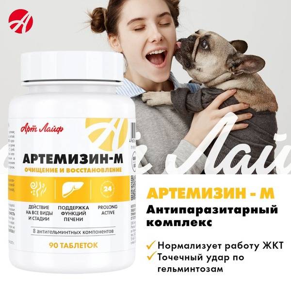 Artemisinin Antiparasitic Complex: 90 Tablets for Parasite & Protozoa Prevention
