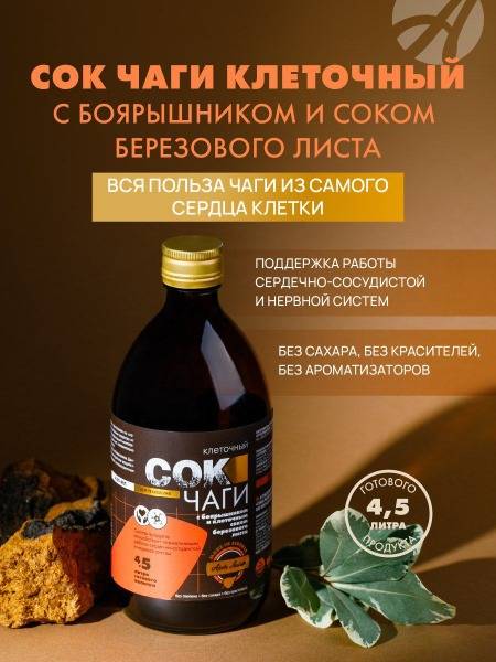 Chaga Mushroom Cellular Juice with Hawthorn & Birch Leaf - Supports Cardiovascular & Nervous System Health (450ml) - ArtLife