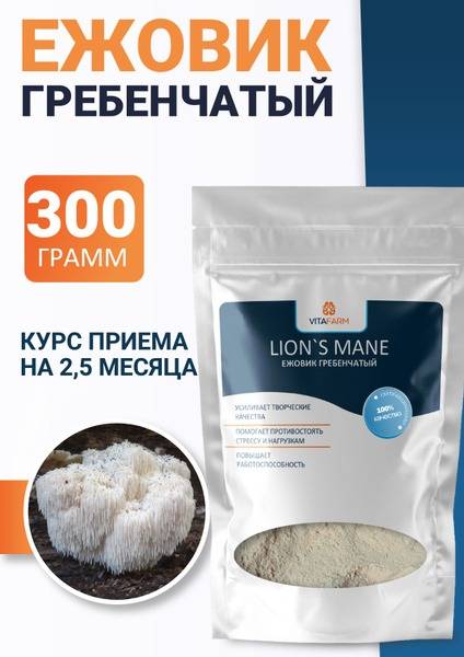 Ground Lion's Mane Mushroom Powder (300g)