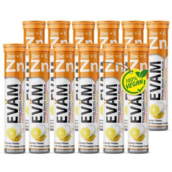 ZinterLab Zinc + Vitamin C Effervescent Tablets, Immune Support, 240 Tablets