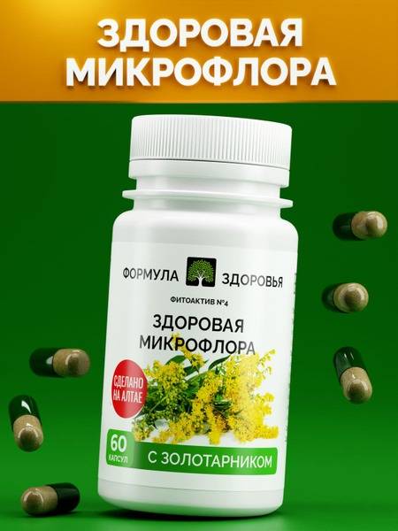PhytoActive #4: Gut Health & Microbiome Support