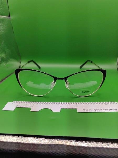 VALENCIA Women's Metal Eyeglass Frame - Oval, 51mm Lens Width