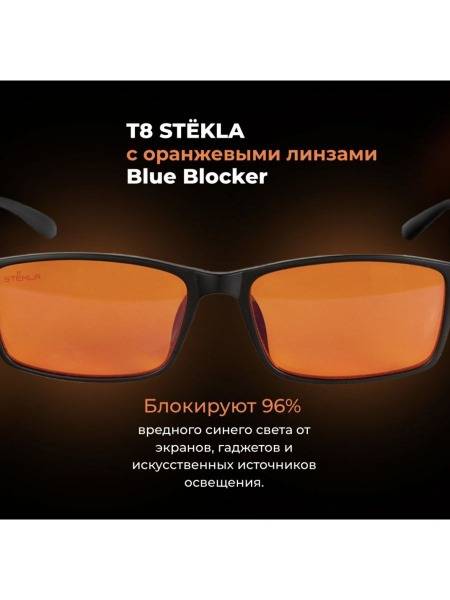 Tayga 8 Computer Glasses