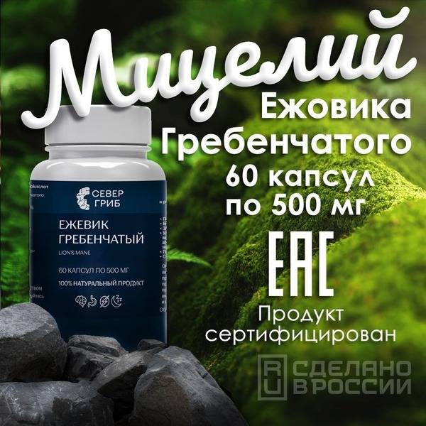 SeverGrib Echinacea Mycelium and Fruit Body Mix in Capsules, 60 Capsules of 500 mg
