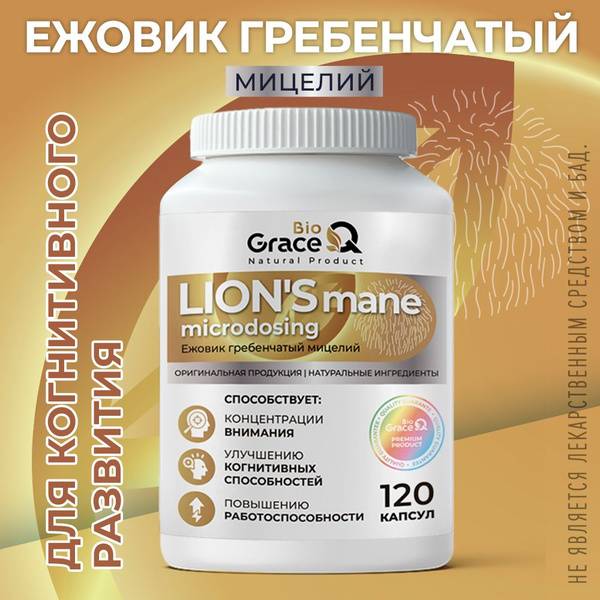 GraceBioQ Lion's Mane Capsules, 120 Capsules – Natural Nootropic Supplement for Brain Health