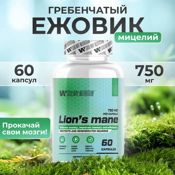 Lion's Mane Mushroom Mycelium Supplement - 60 Capsules