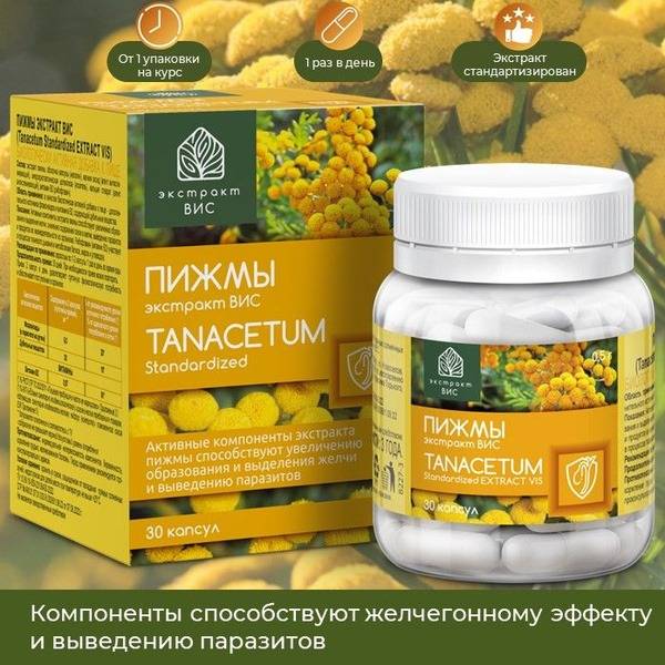 Tanacetum (Pyrethrum) Extract VIS Capsules - 500mg, 30 Count