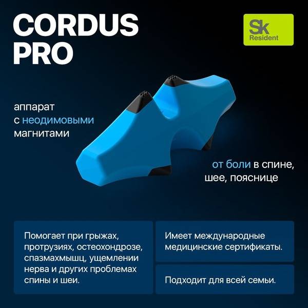 Cordus & Sacrus Cordus Easy Back Neck and Lumbar Massager — Handheld ABS 1-Unit