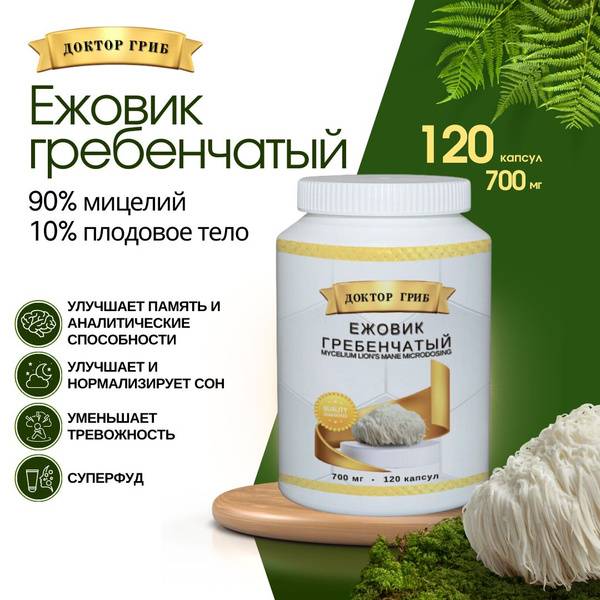 Lion's Mane Mycelium with Blackberry 120 Capsules 700 mg, 120 Count