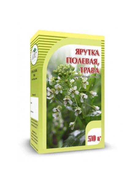 Field Yarrow Herb 50g - Horst