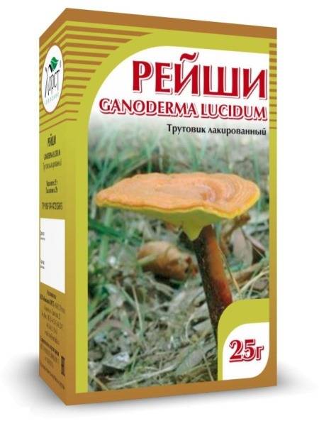 Lacquered Reishi Bracket (Ganoderma), 25 g – Med and Confiture