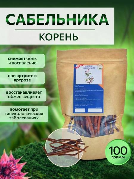 Redcap Burnet Root