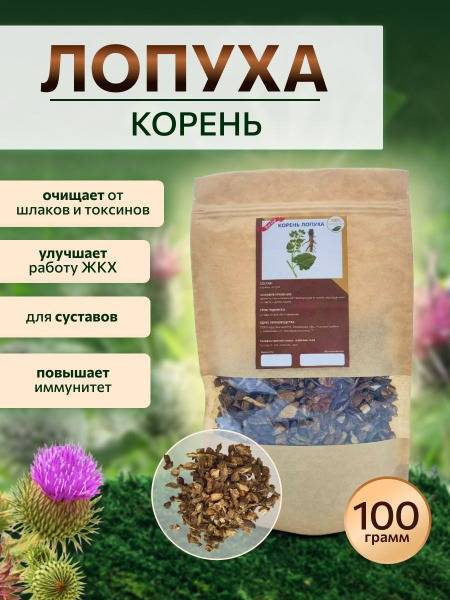 Redcap Dried and Ground Burdock Root 100 g