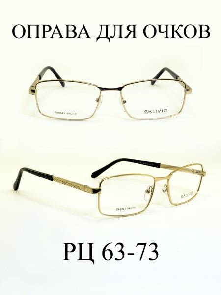 SALIVIO Men's Metal Eyeglass Frame with Flex Hinges