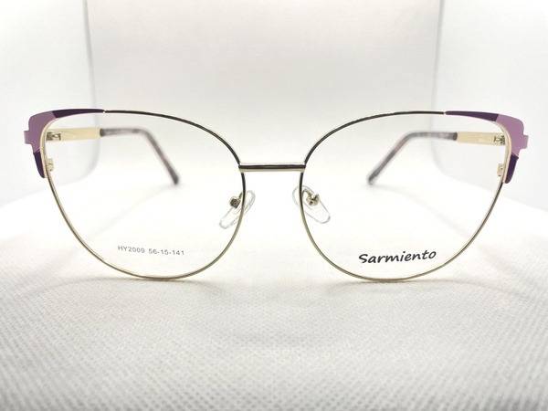 Sarmiento Eyeglass Frame
