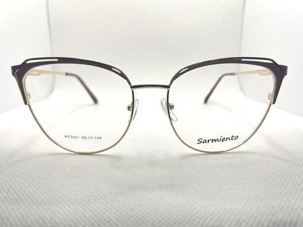 Sarmiento Eyeglass Frame