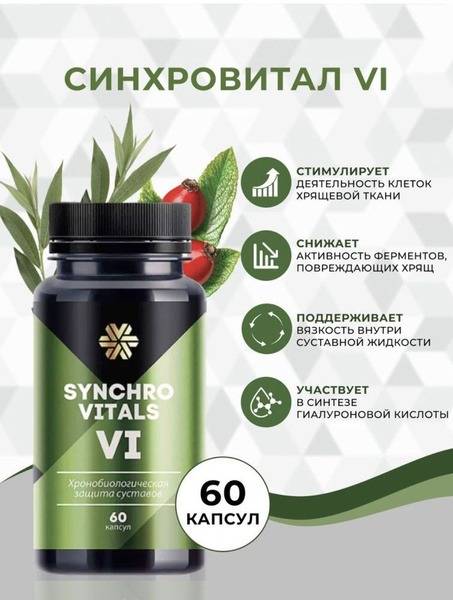 Joint Health Chronobiology Supplement: Synchrovital VI, 60 Capsules