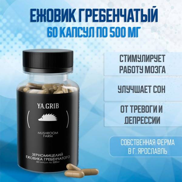 Lion's Mane Mushroom Extract Capsules (60 x 500mg)