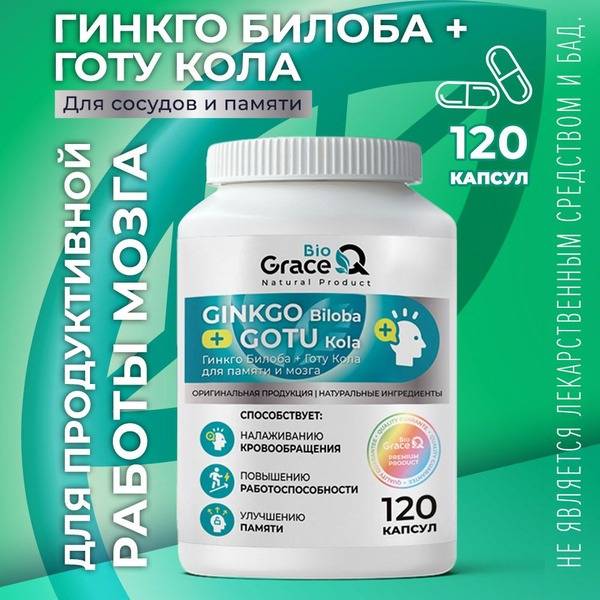 GraceBioQ Ginkgo Biloba + Gotu Kola 500 mg Capsules 120 Count