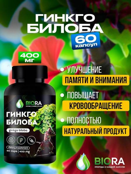 Ginkgo Biloba Capsules 60 Count 400mg